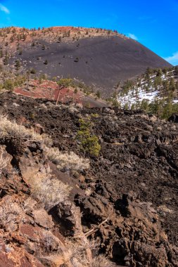 Üzerinde ağaç olan kayalık bir dağ. Ağaç küçük ve kayalık tepenin ortasında.