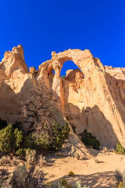 Grosvenor Arch is a unique sandstone double arch located in southern Utah.  The massive sandstone formation stands 152 feet high and spans 92 feet. clipart