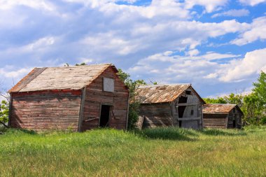 Üç eski, harap olmuş ahır, bulutlu bir gökyüzü ile çimenli bir tarlada oturuyor. Ahırlar bakımsız durumda, boyaları soyuluyor ve camları kırılıyor. Çevre alanı çoğunlukla boş.