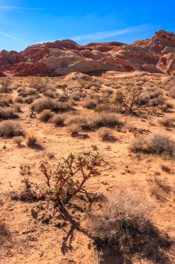 Ateş Vadisi adını dinazorlar çağı boyunca kayan kum tepelerinden oluşan kırmızı kumtaşı oluşumlarından alır. Bölgenin karmaşıklığı ve hataları, ardından geniş çaplı erozyon, mevcut manzarayı oluşturdu.