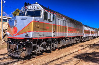 Önünde 229 numaralı gümüş ve altın renkli bir tren. Tren rayların üzerinde ve etrafı tarlalarla çevrili.