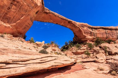 Natural Bridges National Monument, Utah 'ta bulunan ABD Ulusal Anıtı. Owachomo buradaki üç doğal köprünün en küçüğü ve en zayıfıdır ve yaygın olarak en yaşlı olduğu düşünülür..