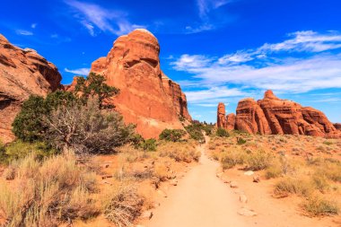 İçinden toprak yol geçen bir çöl manzarası. Gökyüzü mavi ve bazı bulutlar var.