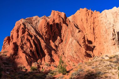 Önünde ağaç olan kayalık bir dağ. Dağ kırmızı kayalarla kaplı ve gökyüzü mavi.