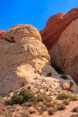 Üzerinde küçük bir bitki yetişen kayalık bir uçurum. Uçurum bir dağ sırasının parçasıdır.