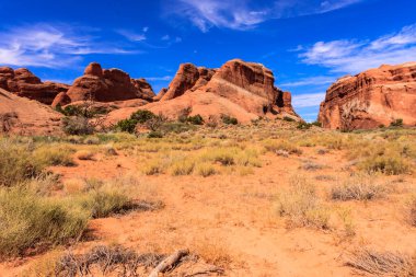 Mavi gökyüzü ve arka planda dağlar olan bir çöl manzarası. Gökyüzü açık ve güneş parlıyor.