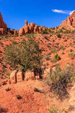 Ortasında ağaç olan kayalık bir yamaç. Ağaç kayalarla çevrilidir ve yamaç kırmızı toprakla kaplıdır. Gökyüzü açık ve mavi