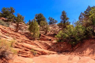 Ağaçları ve mavi gökyüzü olan kayalık bir kanyon. Ağaçlar yeşil ve gökyüzü berrak