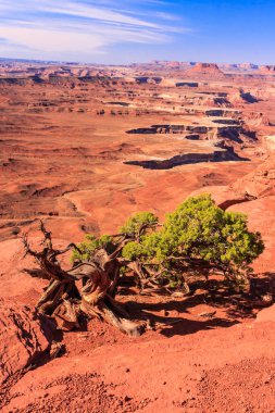 canyonlands Milli Parkı'ndan adanın gökyüzü ilçe, utah, ABD green river overlook Klasik görünümü.