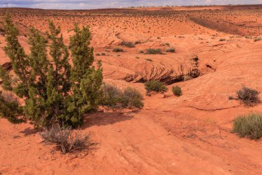 antilop Kanyonu incelenen ve Güneybatı Amerika en çok fotoğrafı çekilen yuvası kanyona sayfa, arizona, ABD yakınındaki navajo arazi üzerinde bulunan.