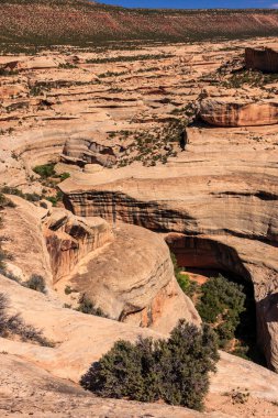 Üzerinde ağaç büyüyen kayalık bir kanyon. Kanyon dağlarla çevrili ve gökyüzü mavi.