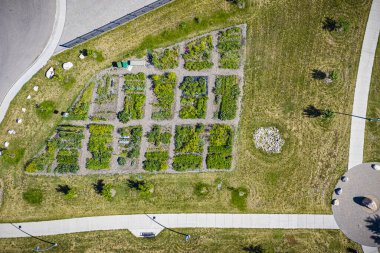 Bir sürü bitki ve ağacın olduğu büyük bir bahçe. Bahçe bir parkta ve bir kaldırımla çevrili.