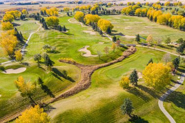 Bir sürü ağaç ve patikası olan golf sahası. Ağaçlar sarı, çimenler yeşil.