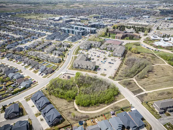 Ortasında park olan bir yerleşim yeri. Park evlerle çevrili ve bir oyun alanı var. Bölgede park etmiş bir sürü araba var ve cadde ağaçlarla dolu.