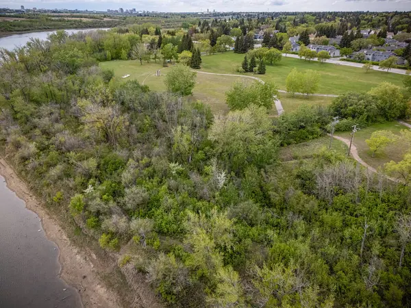 İçinden nehir akan yemyeşil bir orman. Ağaçlar uzun ve yapraklı, çimenler yeşil ve bakımlı. Huzurlu ve huzurlu bir sahne, sakin ve sakin.