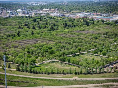 Ortasında mezarlık olan büyük yeşil bir alan. Mezarlığın etrafı ağaçlarla çevrili ve huzurlu bir atmosferi var.