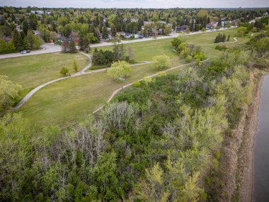 Patikası ve ağaçları olan bir park manzarası. Ağaçlar yeşil ve bazıları çıplak.