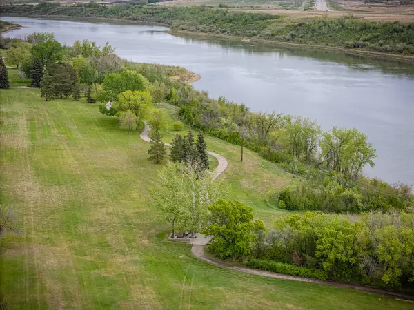 Nehir, kıyısında ağaçlar olan çimenli bir tarladan geçiyor. Su sakin, ağaçlar yeşil.