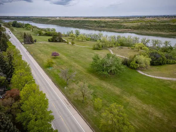 Ağaçlı bir yol ve arka planda bir nehir. Yol boş ve ağaçlar yeşil.