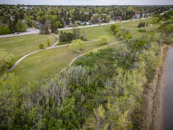 Patikası ve ağaçları olan bir park manzarası. Ağaçlar yeşil ve bazıları çıplak.