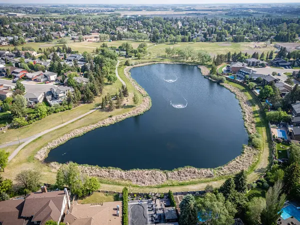 Ortasında küçük bir çeşme olan büyük bir su kütlesi. Su çimenler ve ağaçlarla çevrili.