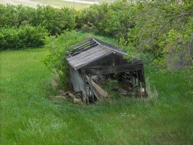 Harap olmuş eski ahır çimen tarlasında duruyor. Ahır bakımsız bir durumda, çatısı yok ve duvarları yıkılıyor. Terk edilme ve ihmal kavramı