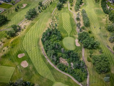 Yeşil çimenli bir alanı ve birkaç ağacı olan golf sahası. Çimenler iyi korunmuş ve ağaçlar parkura saçılmış.