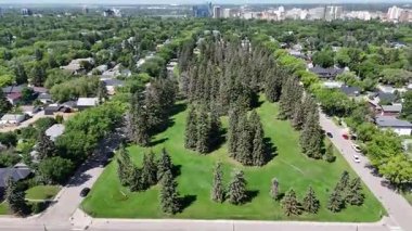 Arka planda büyük bir parkı olan şehir caddesi. Park ağaçlar ve otlarla dolu.