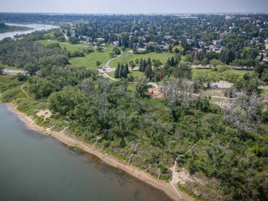 Arka planda su birikintisi olan bir orman manzarası. Ağaçların çoğu yeşil, ama bazıları kahverengi ve ölü. Su sakin ve huzurlu, gökyüzü berrak ve mavi