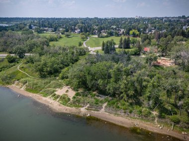 Arka planda su birikintisi olan bir orman manzarası. Ağaçlar yeşil ve su sakin.