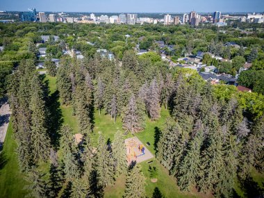 Bir oyun parkı ve birkaç ağacı olan bir park yeri. Ağaçlar çoğunlukla yeşil, ama bazıları kahverengi.