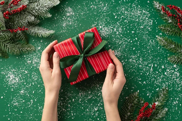 クリスマスの日のコンセプト 一人称トップビュー写真の女の子の手を保持赤プレゼントボックスでリボン弓上雪のミステリーベリーとモミの枝でHarfrostで隔離された緑の背景 — ストック写真