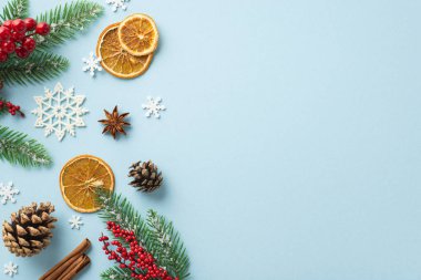 Noel konsepti. Ökseotu üzümlerinin en üst görüntüsü çam kozalakları köknar dalları kurutulmuş portakal dilimleri tarçın çubukları ve izole edilmiş açık mavi arka planda kar taneleri süsleri.