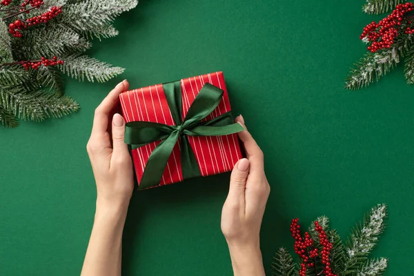 クリスマスのコンセプト 一人称トップビュー写真の若い女性の手保持赤いギフトボックスリボン弓上のミステリーベリーと松の枝でHarfrostで隔離された緑の背景 — ストック写真