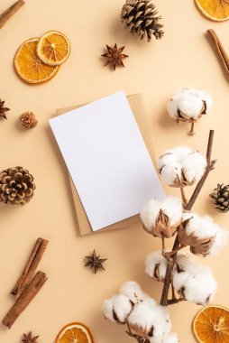 El işi kağıt zarf kağıdının dikey fotoğrafı. Pamuk dalı kurutulmuş portakal dilimleri. Anason ve tarçın çubukları izole edilmiş bej arka planda.