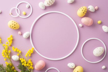 Easter concept. Top view photo of blank circles colorful easter eggs and mimosa flowers on isolated pastel violet background with copyspace