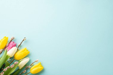 Women's Day concept. Top view photo of bunch of flowers pussy willow pink yellow and white tulips on isolated pastel blue background with blank space