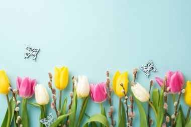 Women's Day concept. Top view photo of colorful tulips pussy willow and butterflies on isolated pastel blue background with empty space