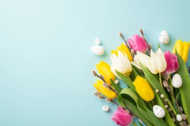 Easter concept. Top view photo of bouquet of pussy willow branches yellow pink white tulips and quail eggs on isolated pastel blue background with copyspace