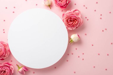 Sevgililer Günü konsepti. Beyaz daire resmi pembe şakayık gülleri ve izole edilmiş pastel pembe arka plan üzerine serpiştirilmiş telif alanı