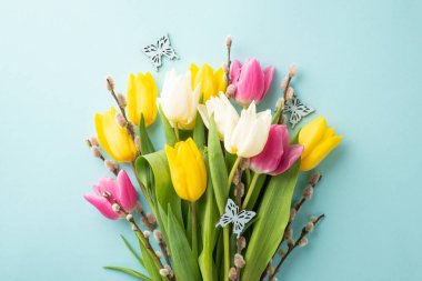 Spring season concept. Top view photo of bouquet of colorful flowers pussy willow tulips and butterflies on isolated pastel blue background