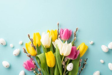 Easter decorations concept. Top view photo of bunch of pussy willow colorful tulips and quail eggs on isolated pastel blue background with empty space