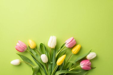 8 Mart konsepti. İzole edilmiş açık yeşil arkaplandaki pembe sarı ve beyaz lalelerden oluşan buket fotoğrafı.