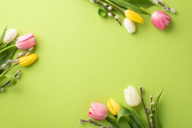 Springtime concept. Top view photo of flowers pussy willow pink yellow and white tulips on isolated light green background with copyspace