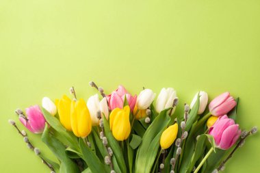 Mother's Day atmosphere concept. Top view photo of bunch of flowers pussy willow yellow pink and white tulips on isolated light green background with empty space