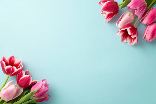 Mother Day Decorations Concept Top View Photo Spring Flowers Pink — Stock Photo, Image