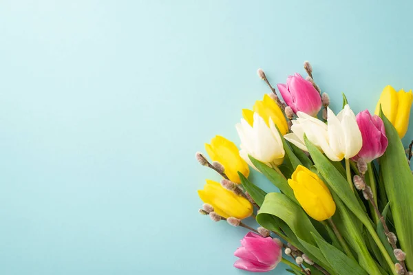 stock image Mother's Day concept. Top view photo of bunch of pussy willow branches and colorful tulips on isolated pastel blue background with blank space