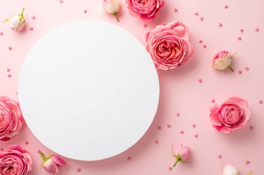 Kadınlar Günü konsepti. Beyaz boş çember çiçeklerinin üst görüntüsü pembe şakayık gülleri ve izole edilmiş pastel arka planda boş alan ile serpiştirilmiş pembe renkler.