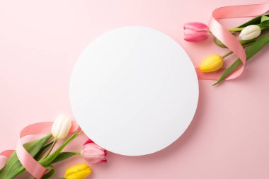 Kadınlar Günü konsepti. Renkli lalelerden oluşan beyaz daire demetlerinin ve izole edilmiş pastel pembe arka plandaki ipek kurdelelerin üst görünümü