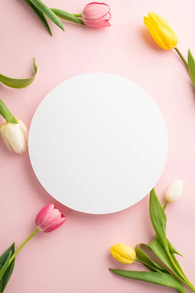 stock image Spring mood concept. Top view vertical photo of white circle beautiful flowers pink white and yellow tulips on isolated pastel pink background with copyspace